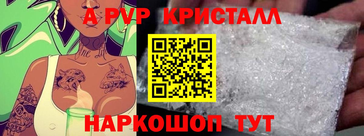 Альфа ПВП СК Щёкино
