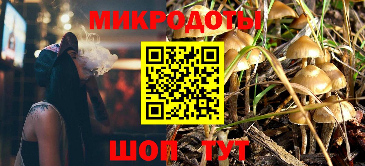 Галлюциногенные грибы Cubensis  Вход с VPN  Щёкино  Галлюциногенные грибы прущие грибы 